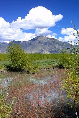 Kairen's_Tibet_45_2001-09-25 07.32.07 IMG_4606.JPG